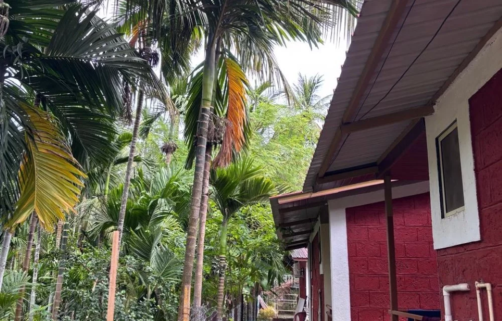 Lotus Holiday Resort